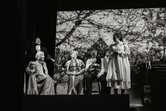 Mill on the Floss - DR-135