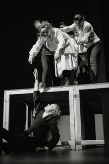 Mill on the Floss - DR-356