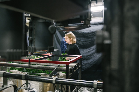 MSND - Final Rehearsal-25