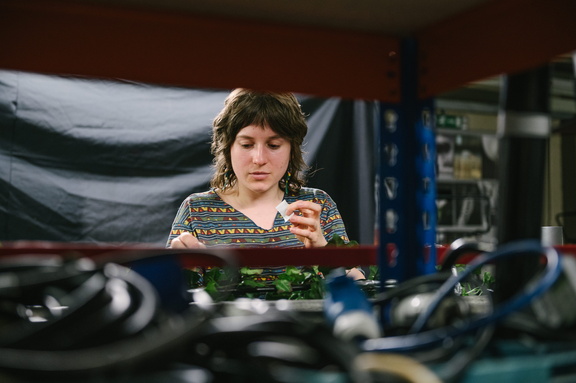 MSND - Final Rehearsal-27