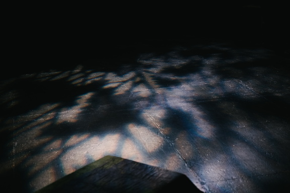 MSND - Final Rehearsal-49