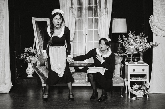 Maids DR - B&amp;W-120