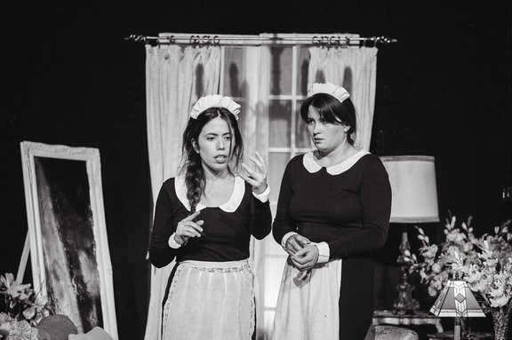 Maids DR - B&amp;W-114