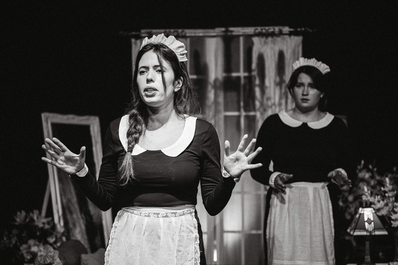 Maids DR - B&amp;W-104