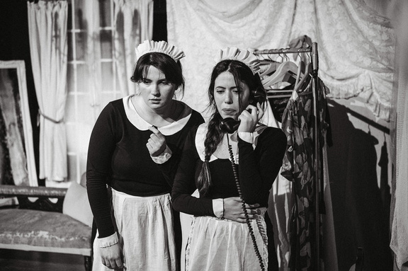 Maids DR - B&amp;W-93